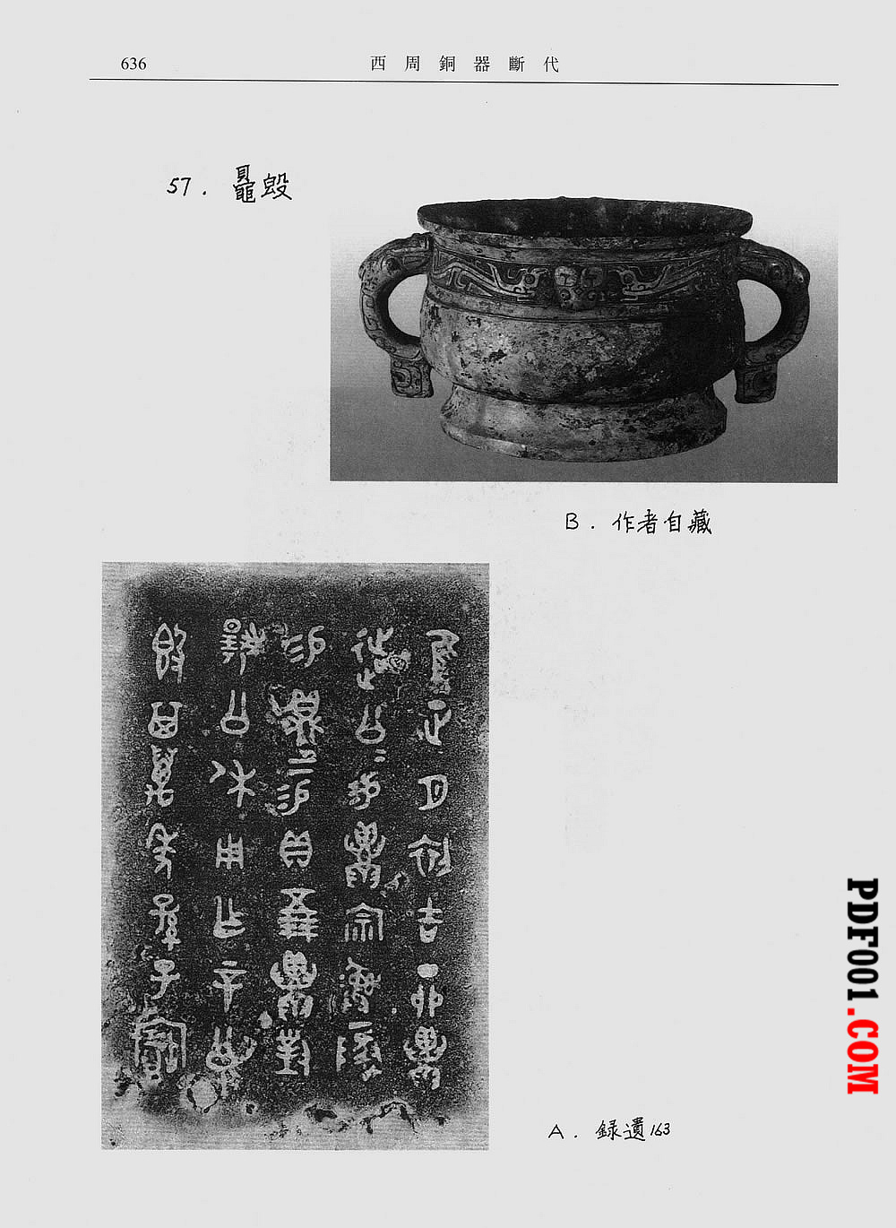 220.jpg
