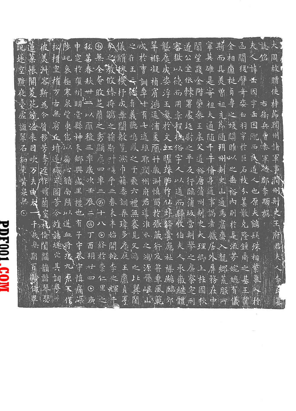 497.jpg