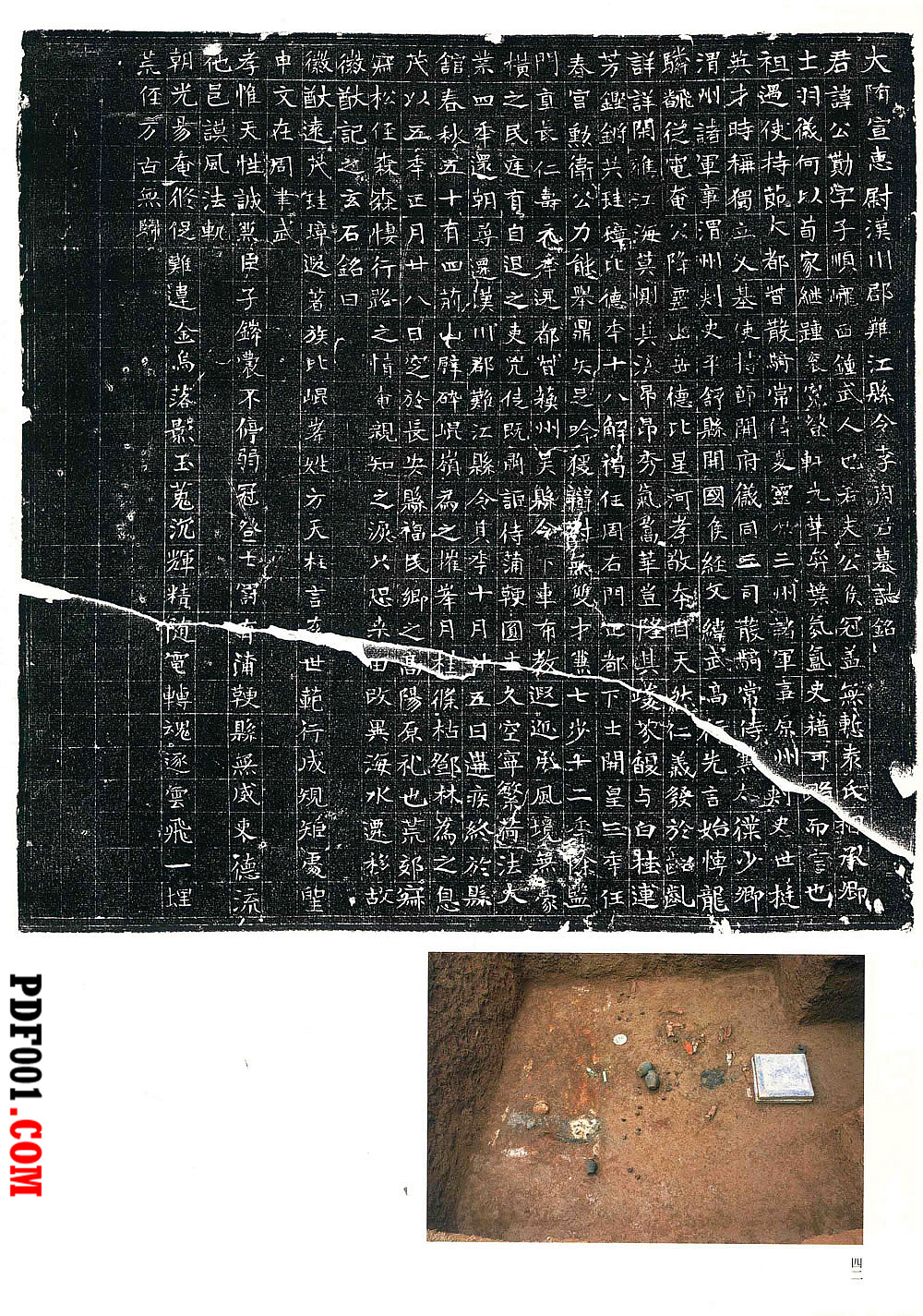 511.jpg