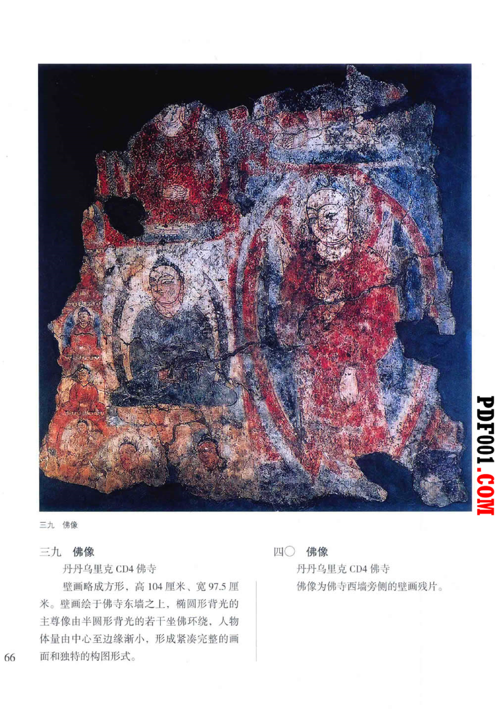 1157.jpg