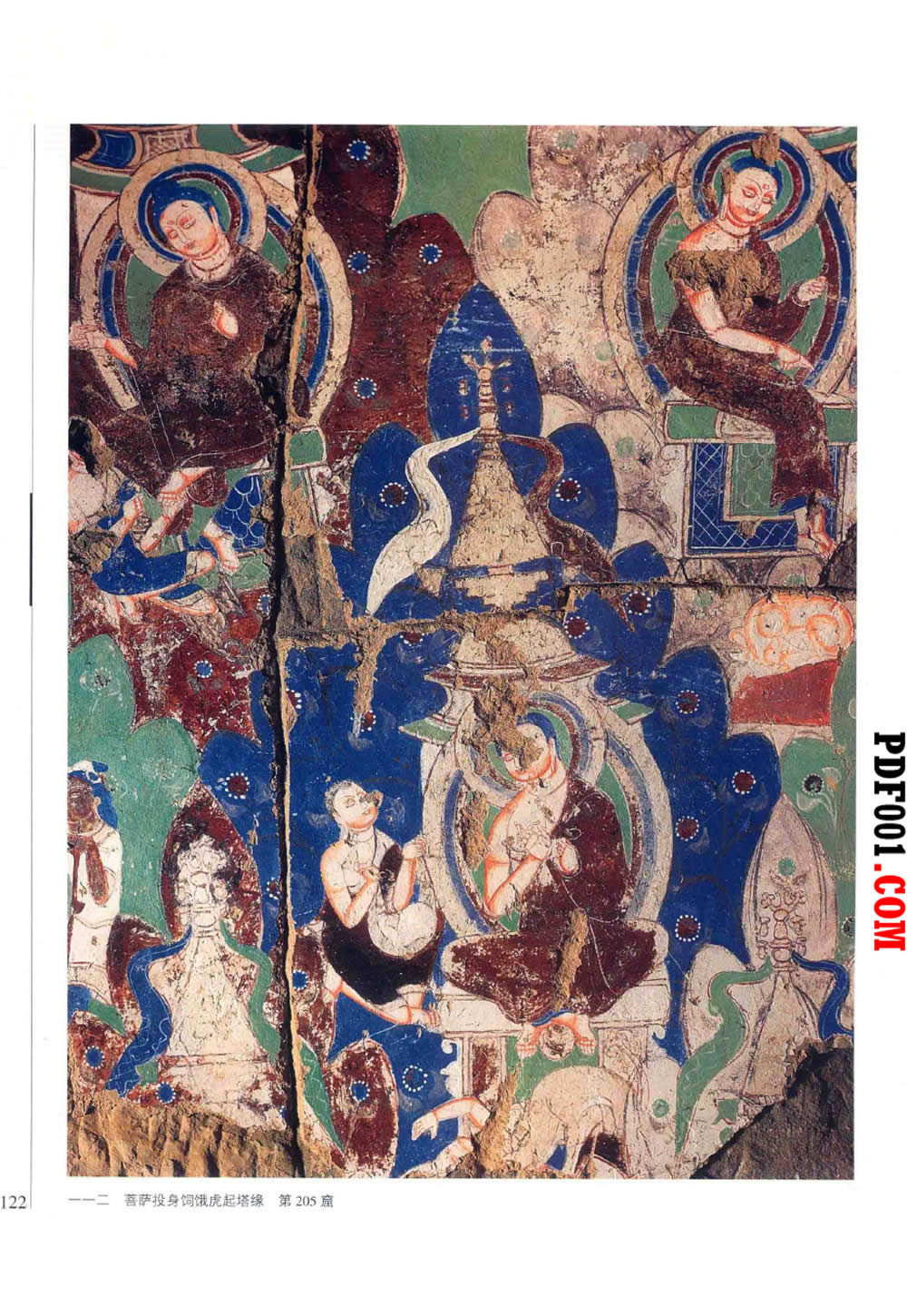 1156.jpg