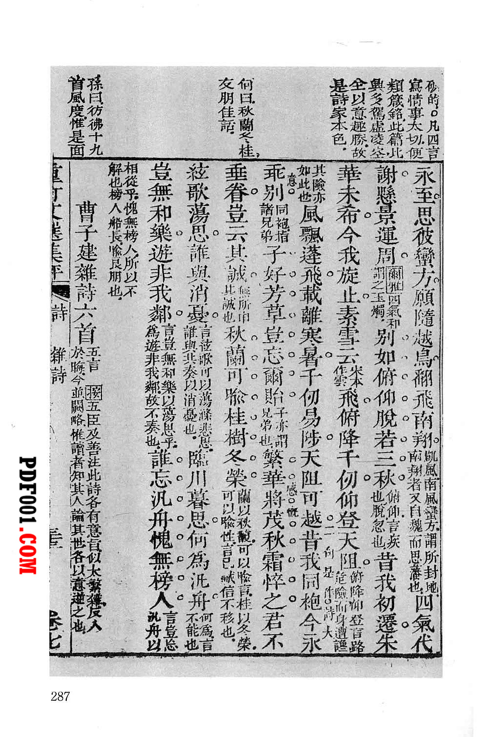 1194.jpg