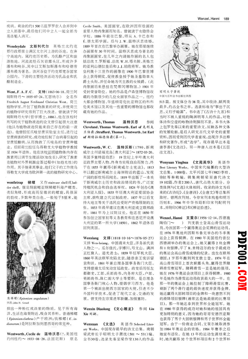 1405.jpg