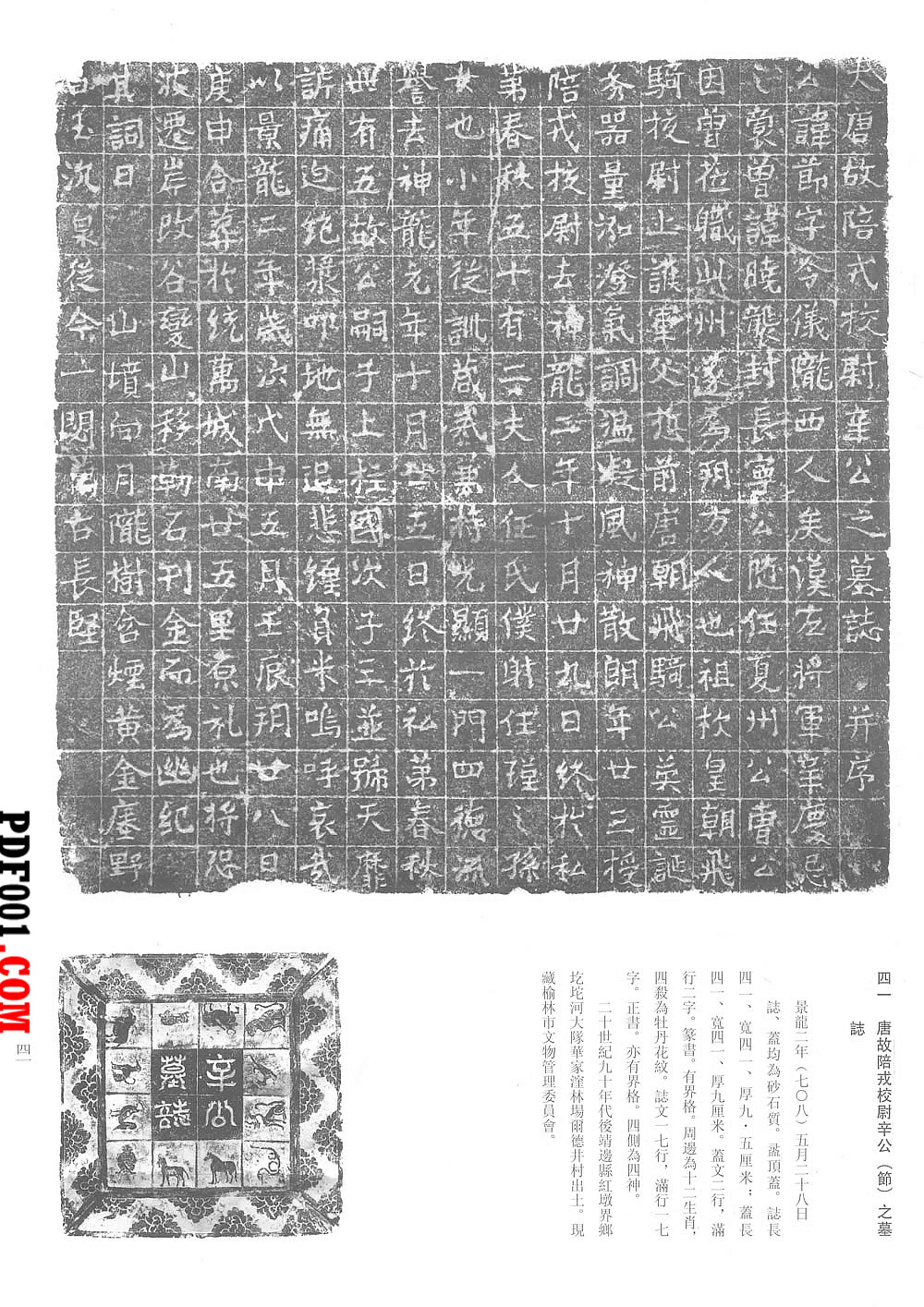 1731.jpg