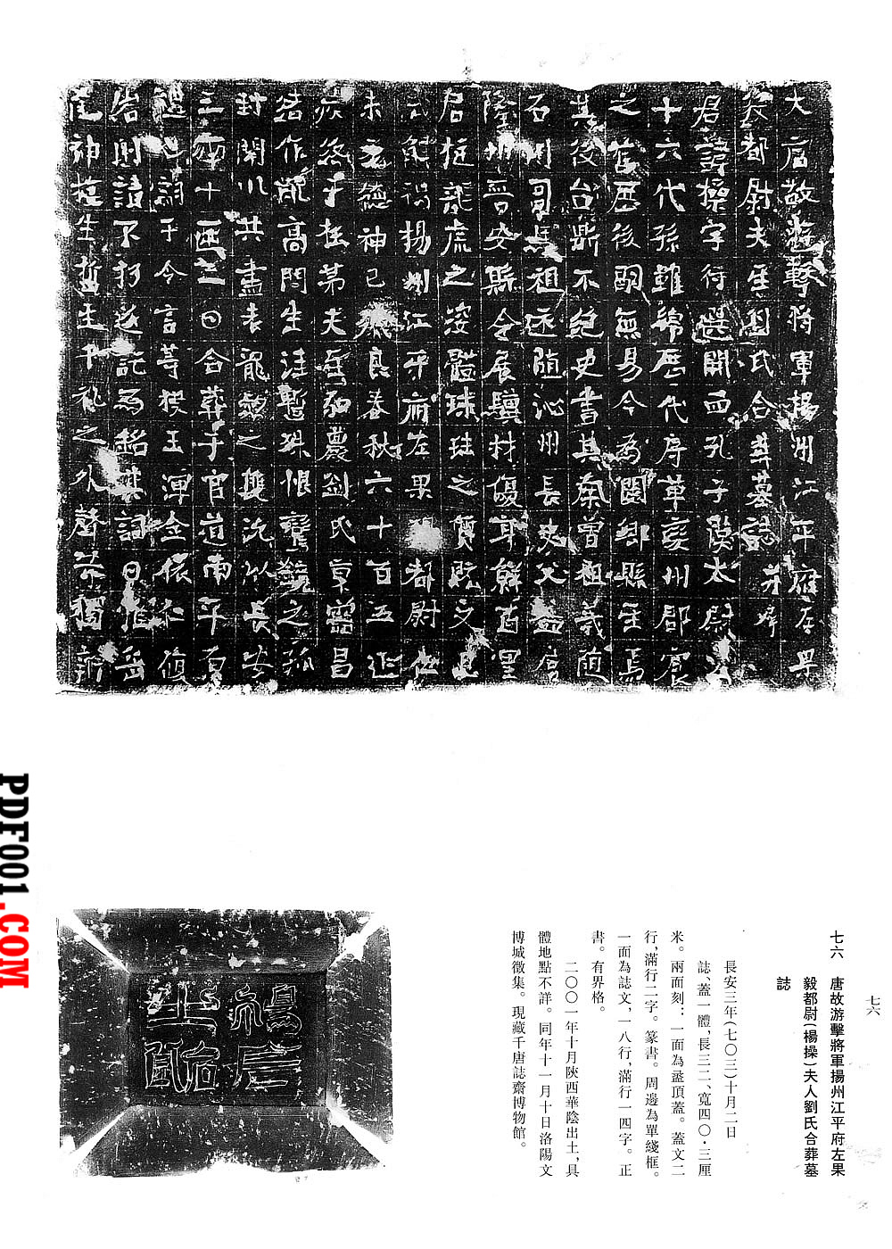 1732.jpg