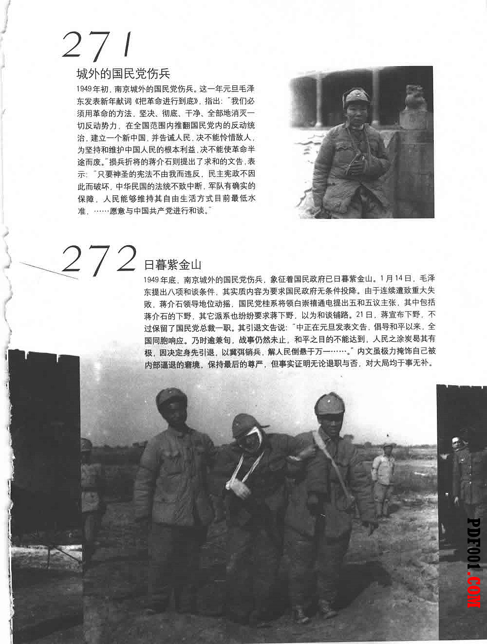 29.jpg