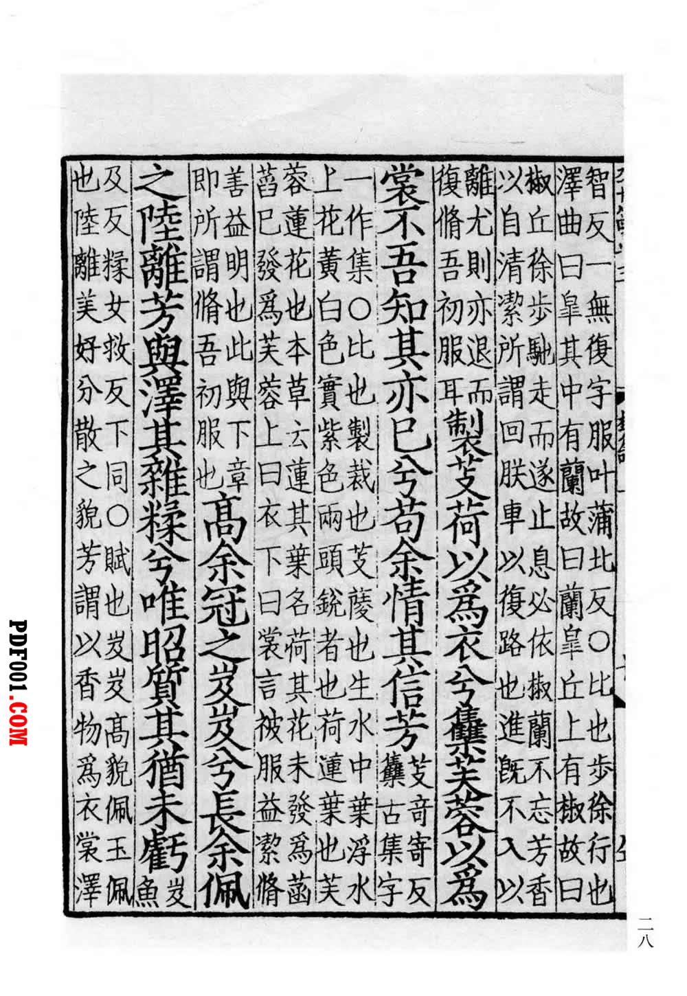 2601.jpg