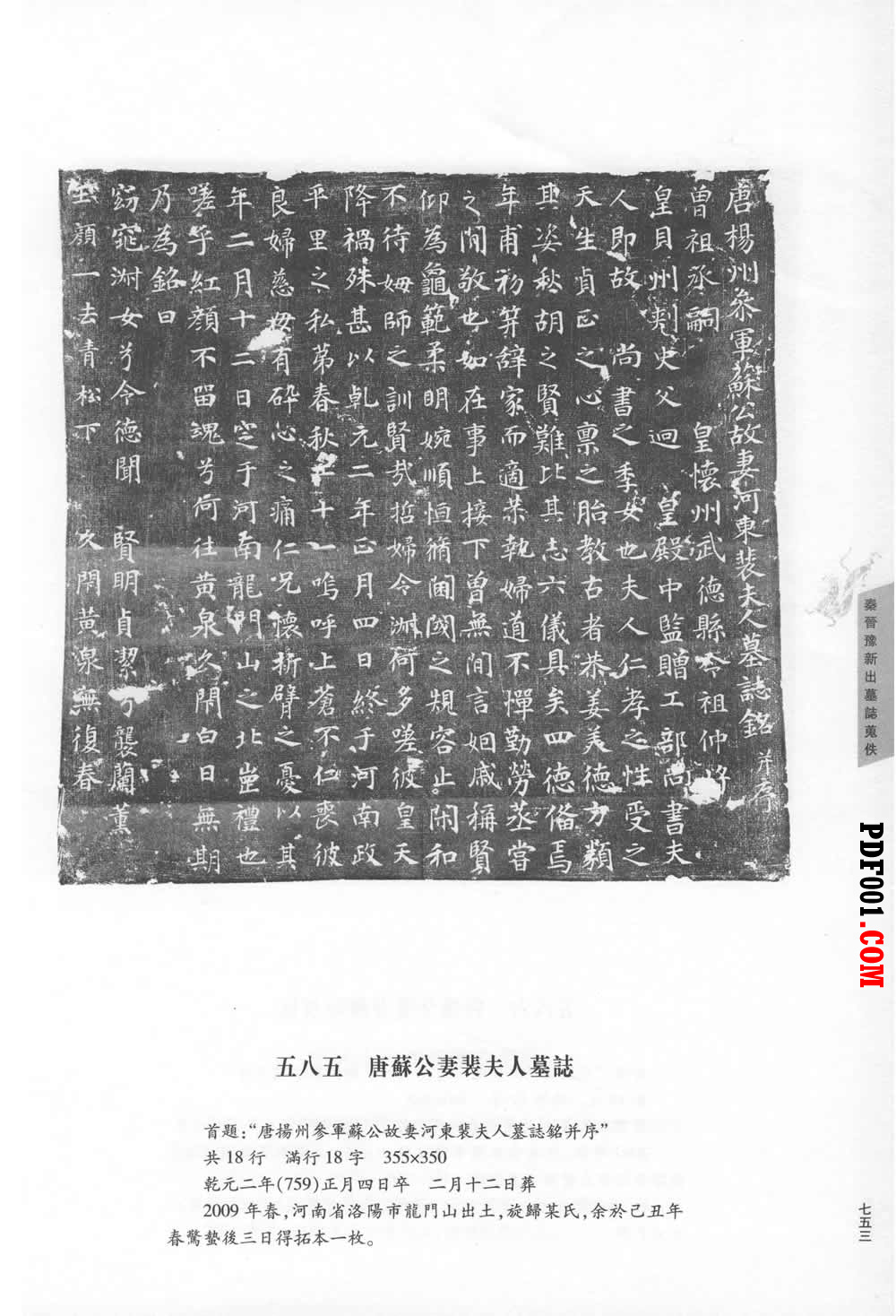 98.jpg