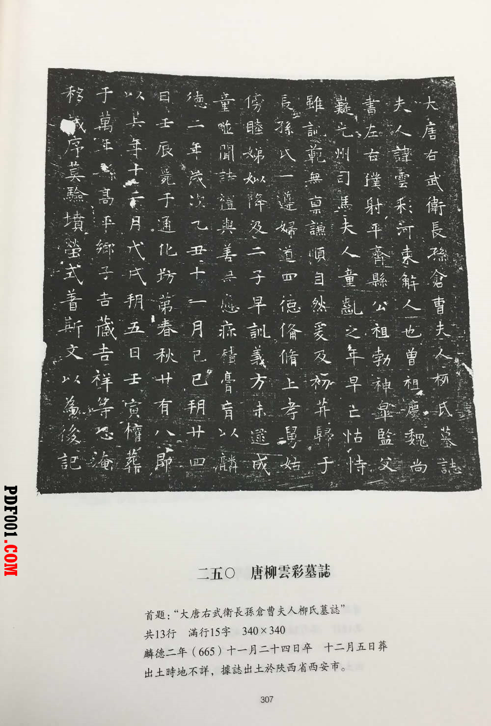 117.jpg