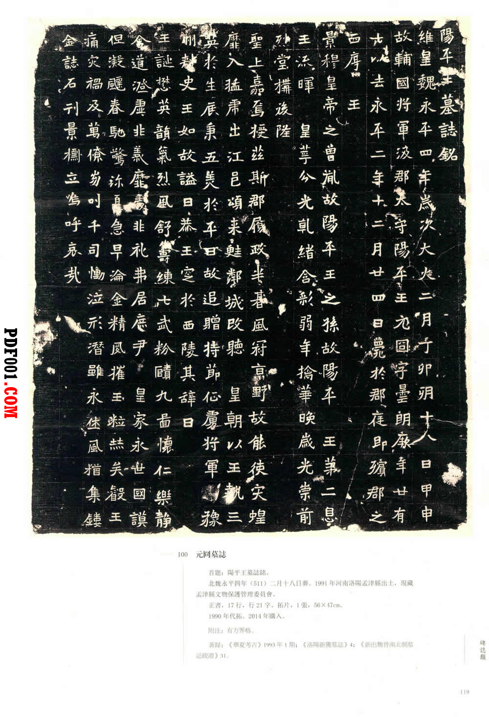 244.jpg